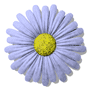 flower1